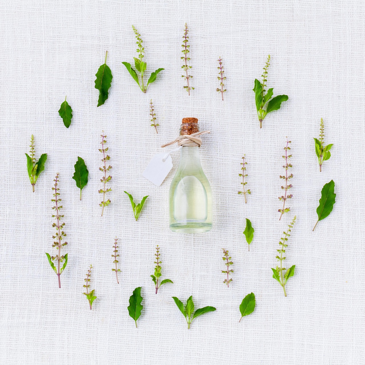 Verslavende eucalyptusgeuren verspreid in knusse kamer.